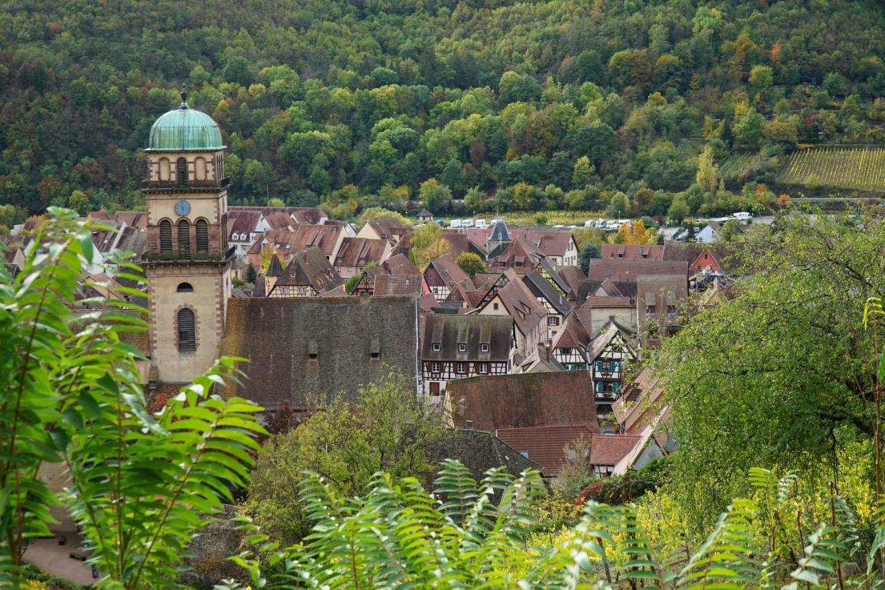Gite Du Xve Kaysersberg-Vignoble Zewnętrze zdjęcie