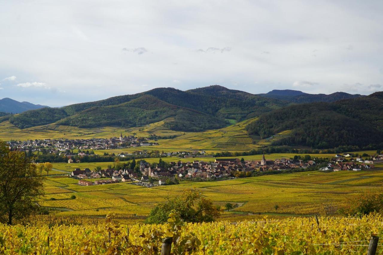 Gite Du Xve Kaysersberg-Vignoble Zewnętrze zdjęcie