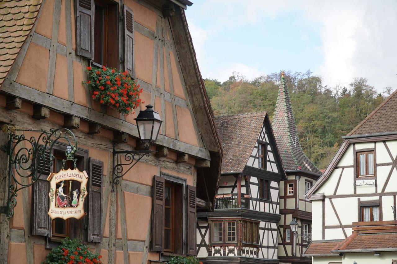 Gite Du Xve Kaysersberg-Vignoble Zewnętrze zdjęcie